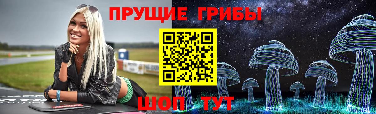 Галлюциногенные грибы прущие грибы Павлово