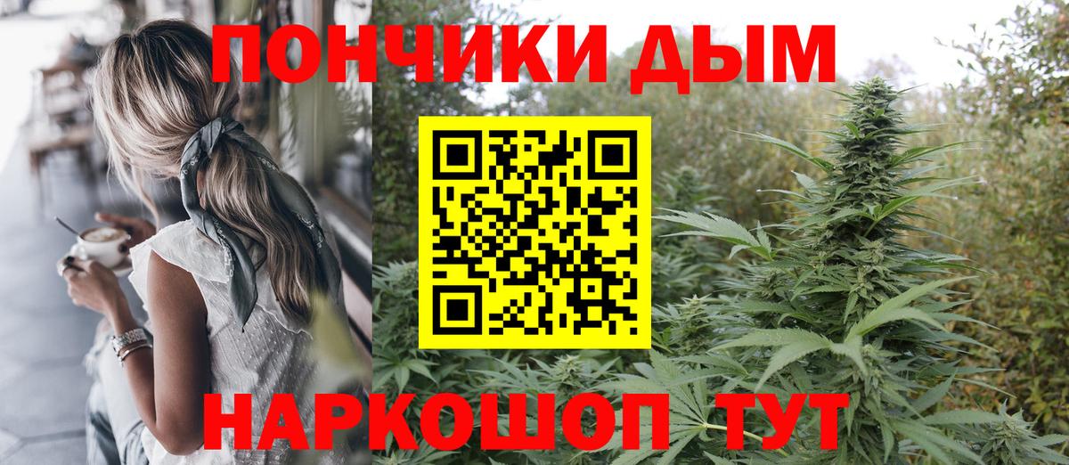 Канабис сатива Павлово
